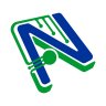 netandino
